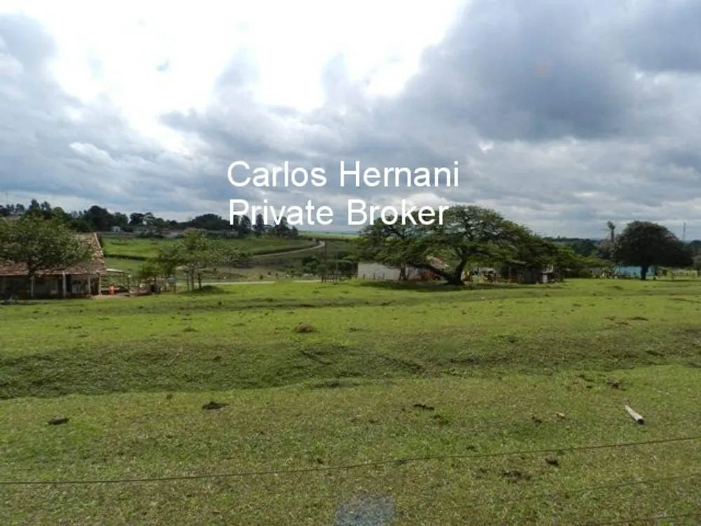 Fazenda, 230 hectares - Foto 8