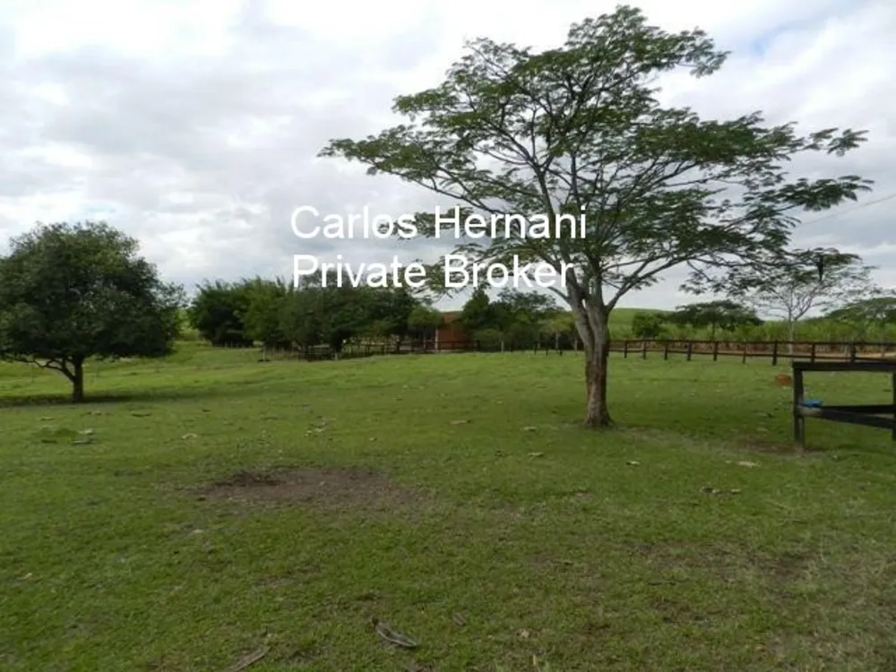Fazenda, 230 hectares - Foto 2