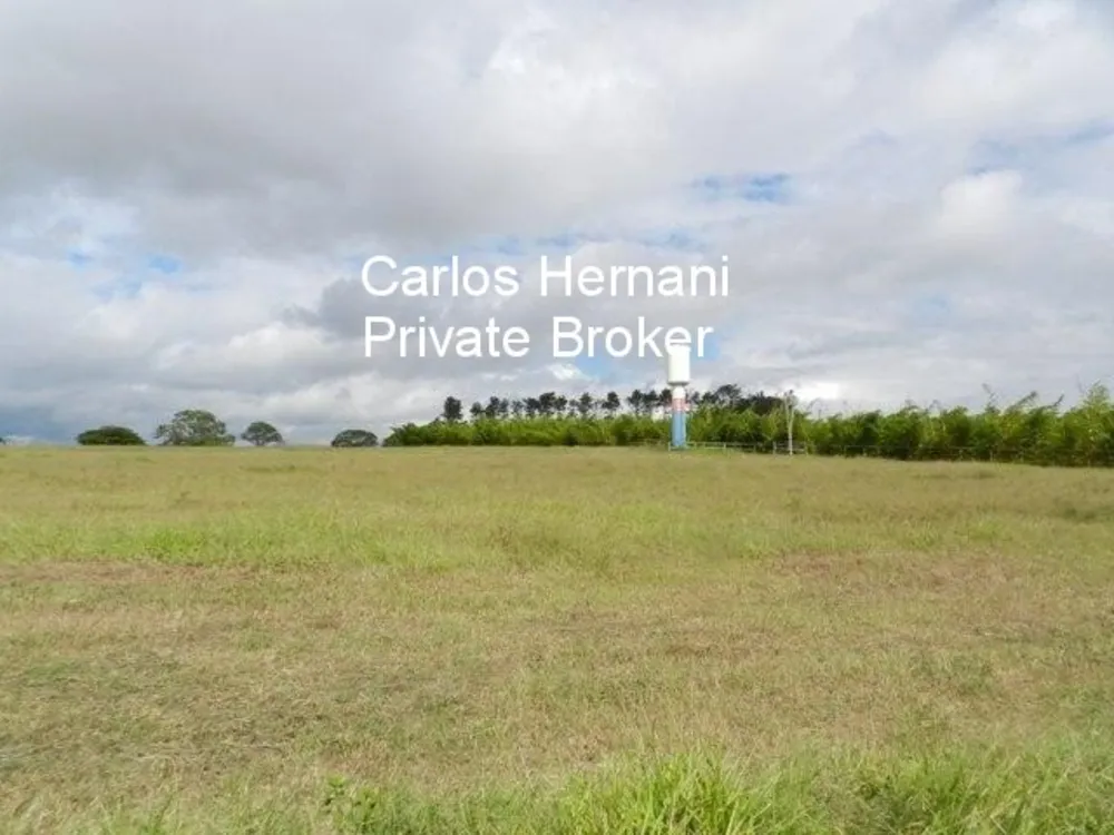 Fazenda, 230 hectares - Foto 7