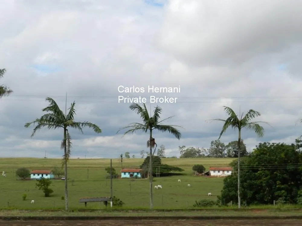 Fazenda, 230 hectares - Foto 3