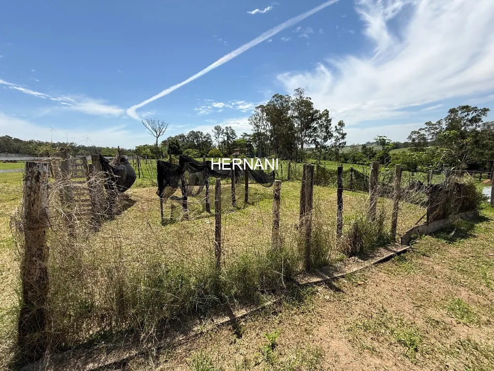 Sítio, 16 quartos, 10 hectares - Foto 4