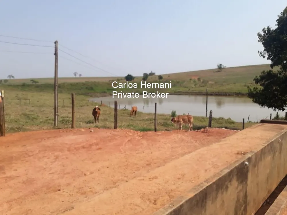 Fazenda, 306 hectares - Foto 1