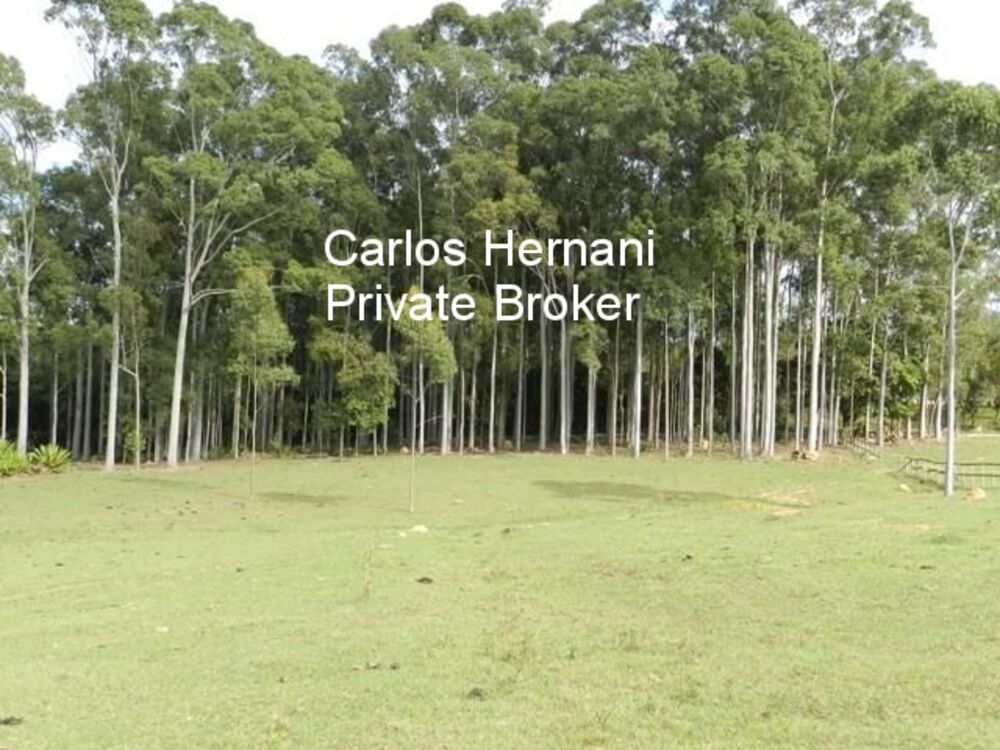 Sítio, 4 quartos - Foto 14