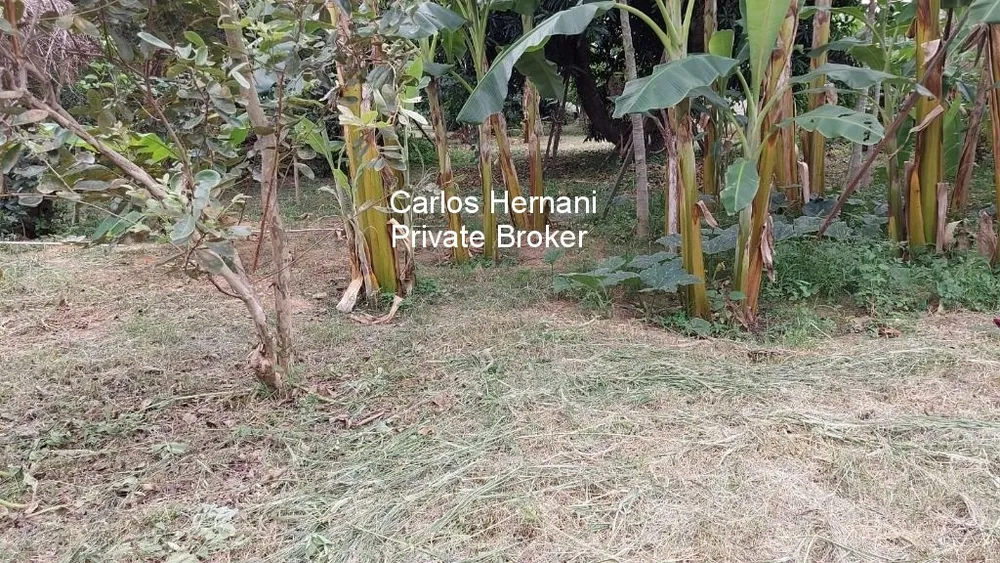 Terreno, 541 m² - Foto 5