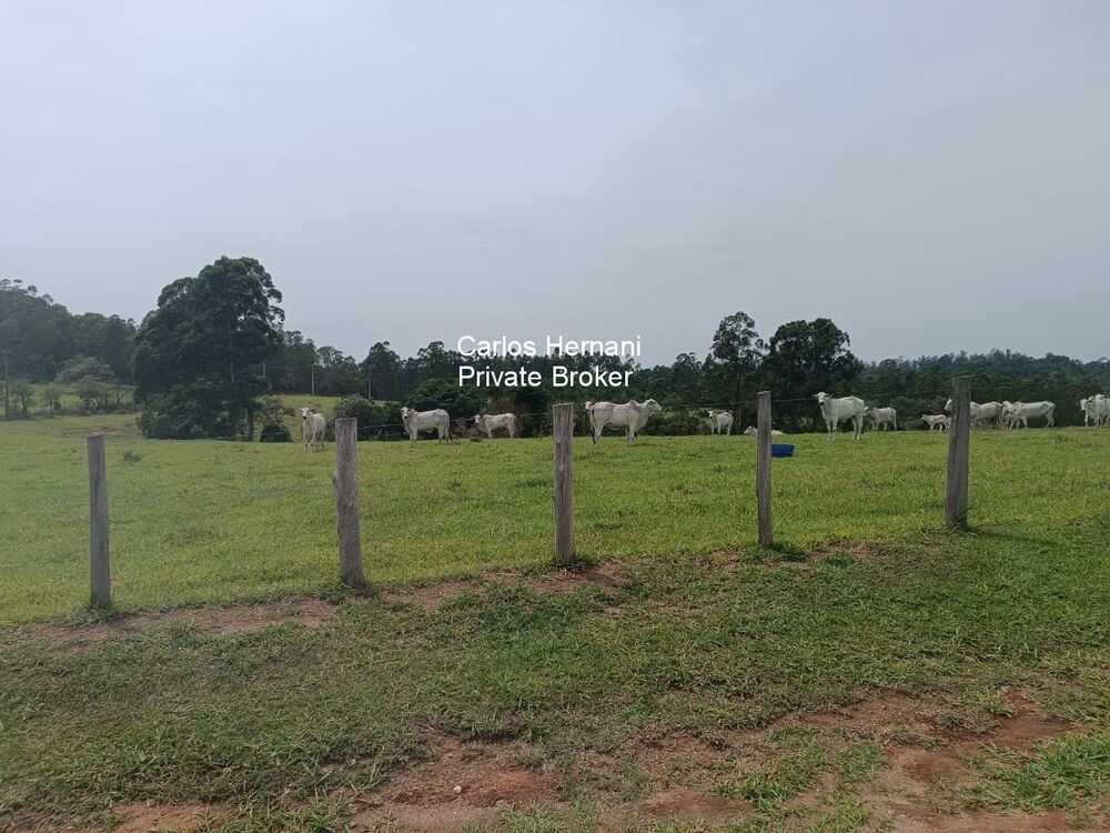 Sítio, 4 quartos, 24 hectares - Foto 2