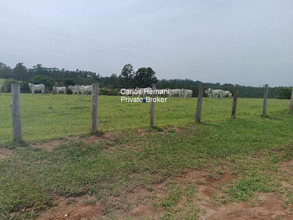 Sítio, 4 quartos, 24 hectares - Foto 6