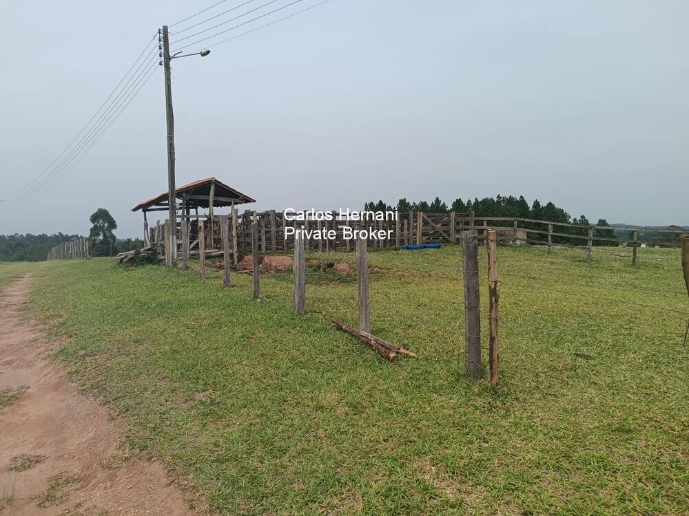 Sítio, 4 quartos, 24 hectares - Foto 3