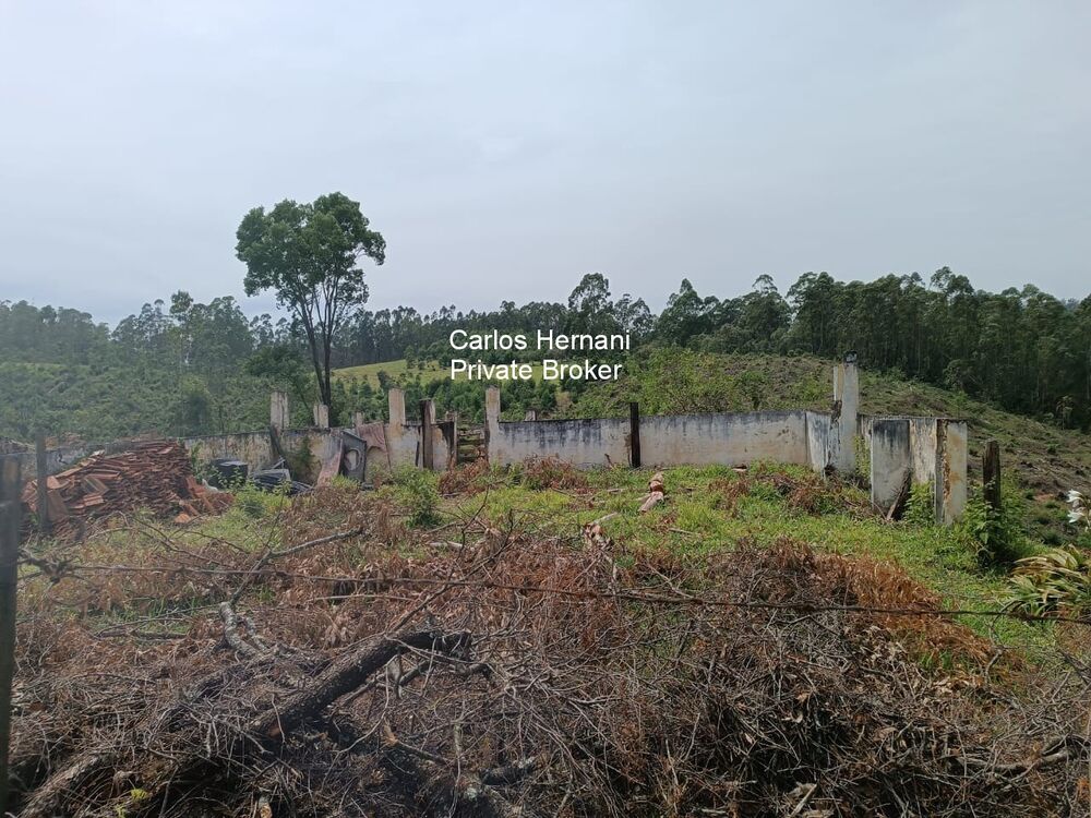 Sítio, 4 quartos, 24 hectares - Foto 11