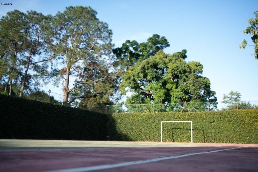 Chácara, 6 quartos - Foto 6