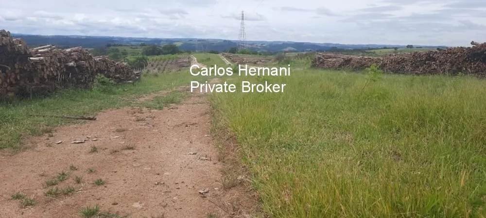 Fazenda, 542 hectares - Foto 2