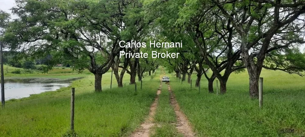 Fazenda, 542 hectares - Foto 4