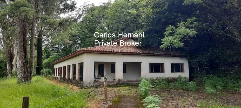 Fazenda, 542 hectares - Foto 3