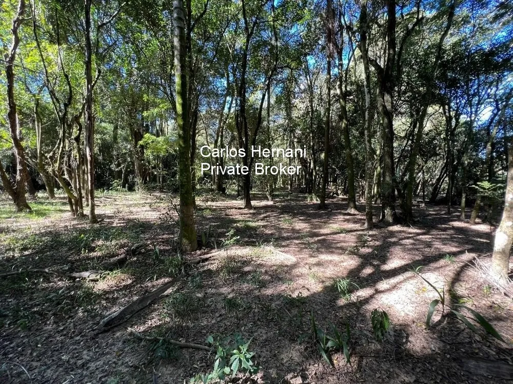 Sítio, 6000 m² - Foto 4