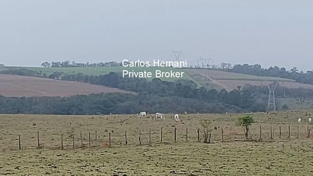 Sítio - Foto 8