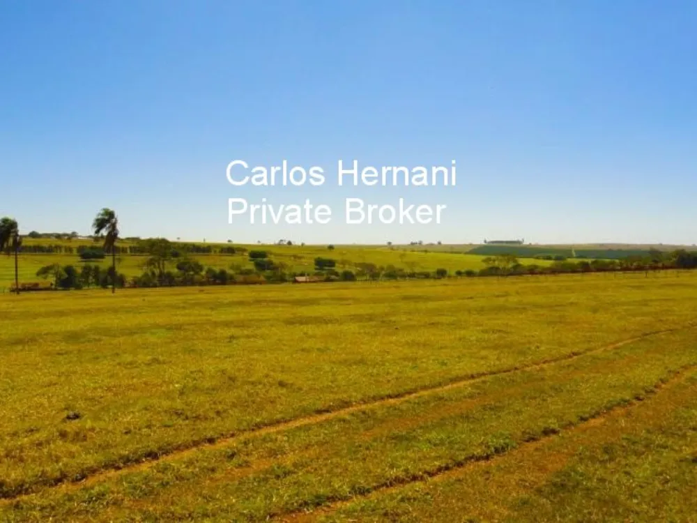 Fazenda - Foto 7