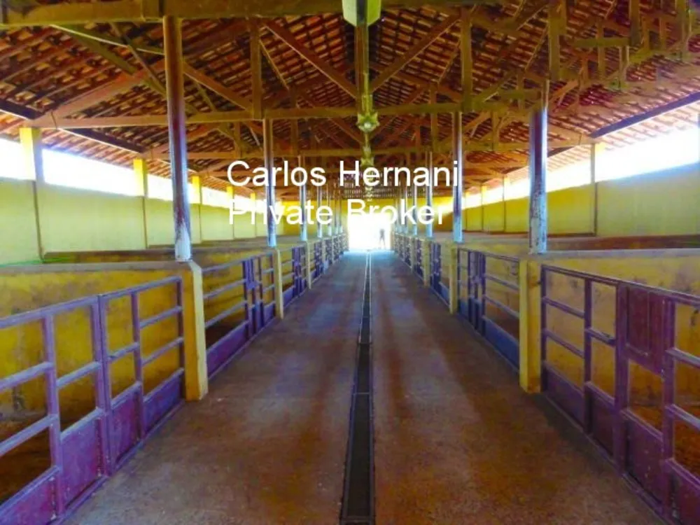 Fazenda - Foto 3