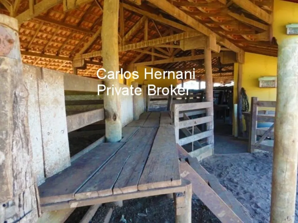 Fazenda - Foto 5