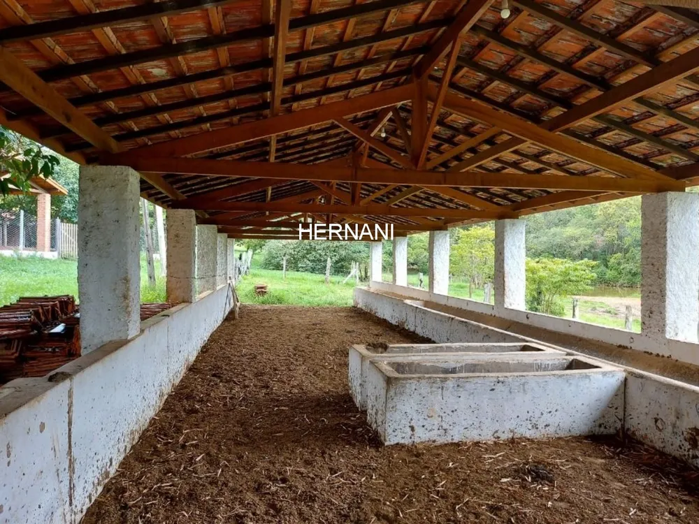 Sítio, 48 hectares - Foto 4