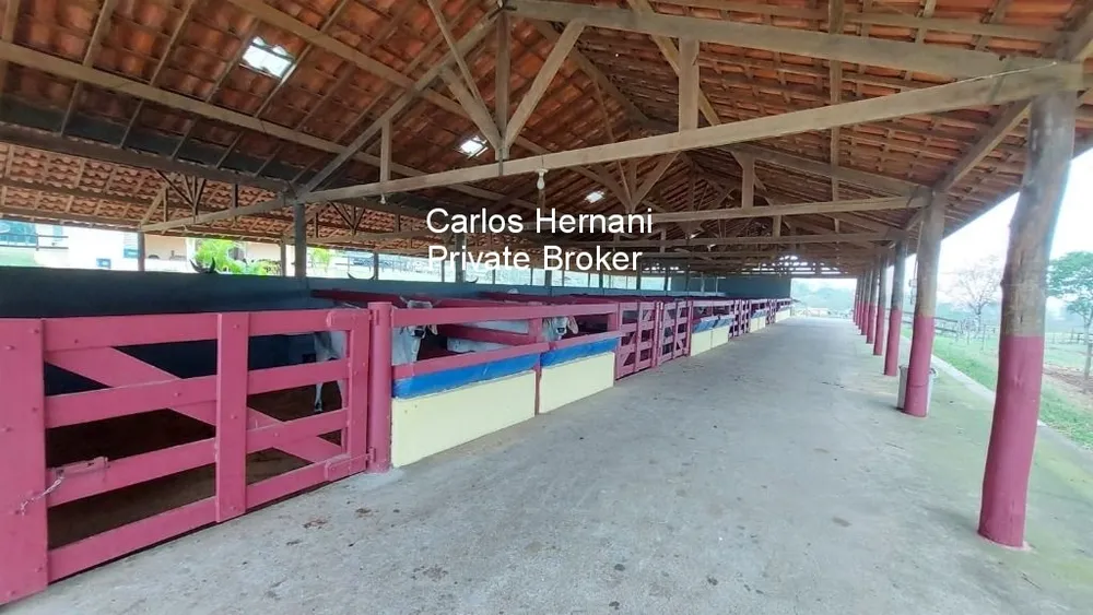 Fazenda, 4 quartos - Foto 6