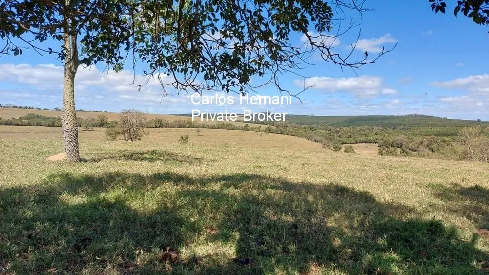 Fazenda, 6 quartos - Foto 7