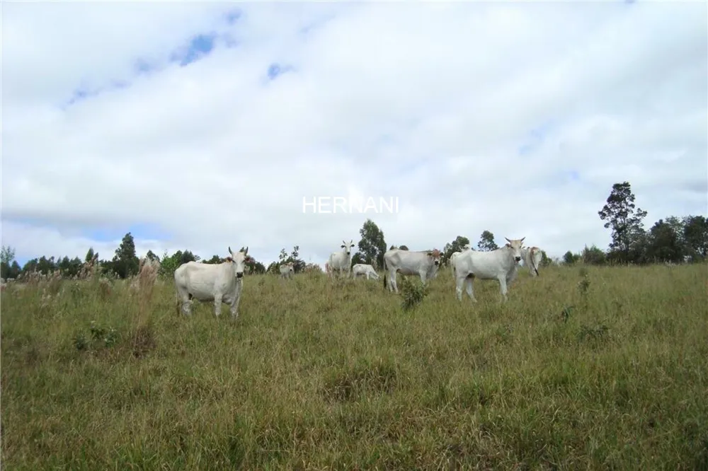 Fazenda - Foto 2