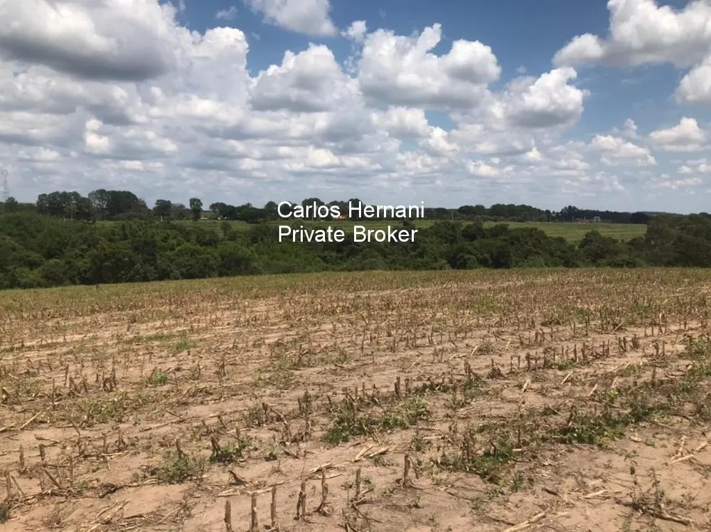 Fazenda - Foto 3