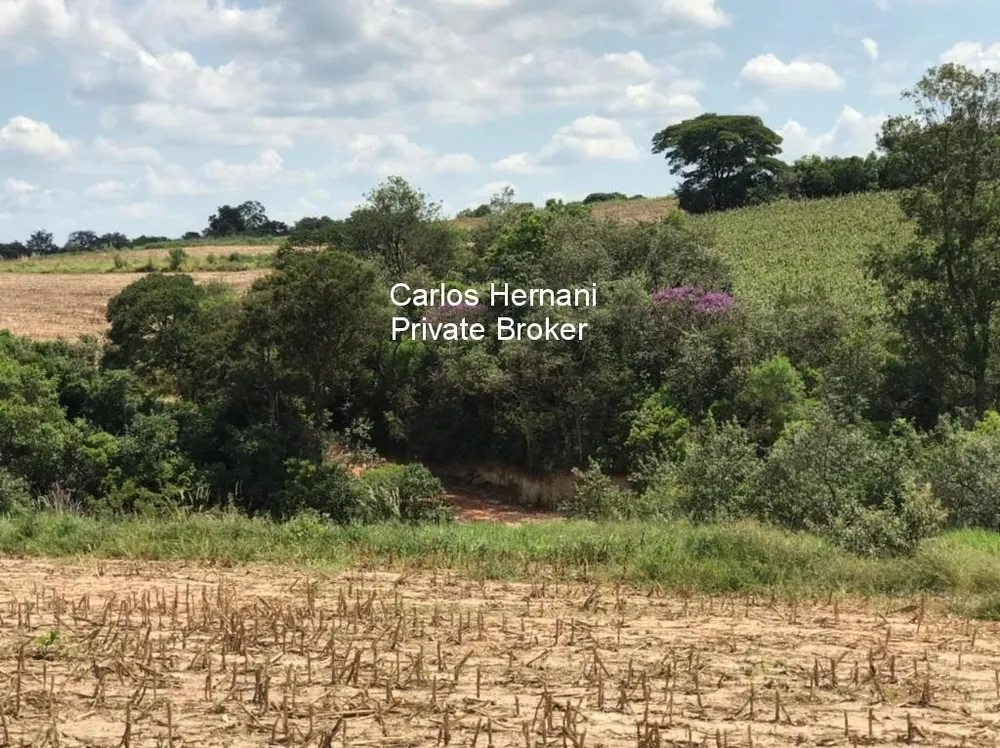 Fazenda - Foto 6