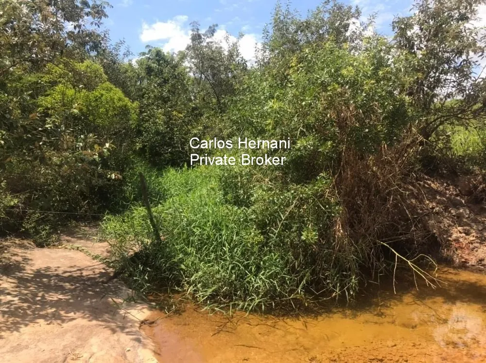 Fazenda - Foto 11