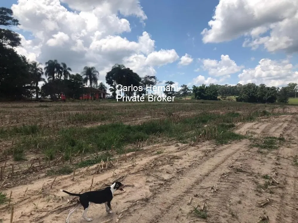 Fazenda - Foto 9