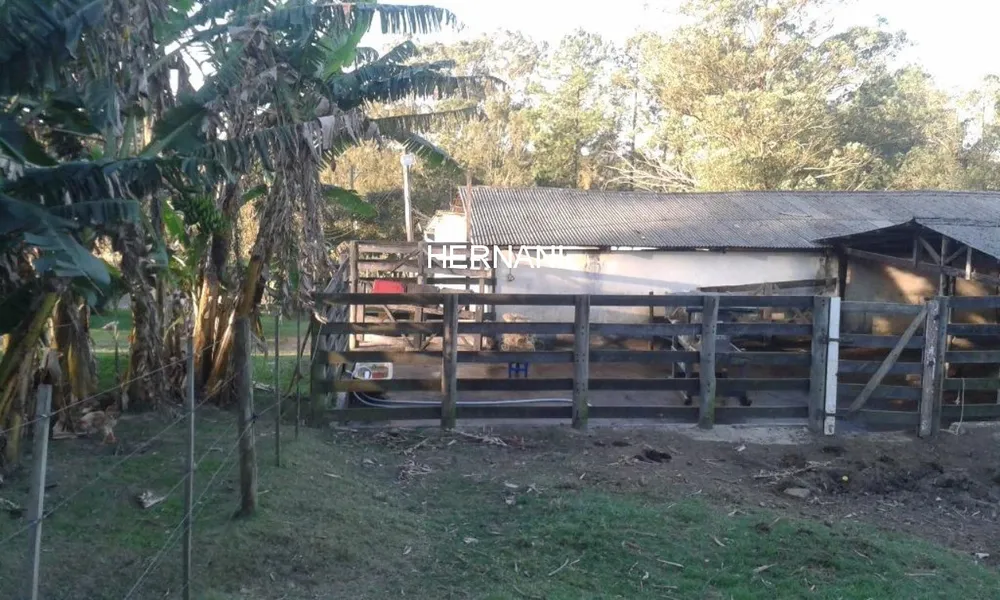 Sítio, 18 hectares - Foto 3