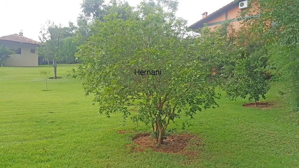 Casa, 4 quartos, 700 m² - Foto 6