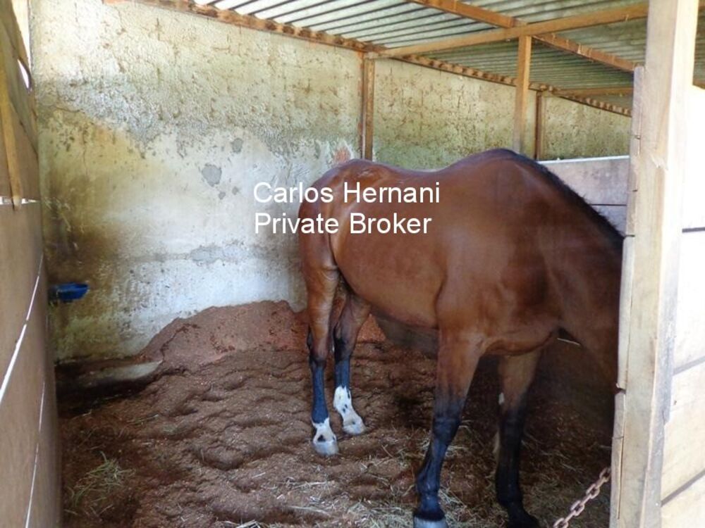 Chácara, 5 quartos - Foto 2