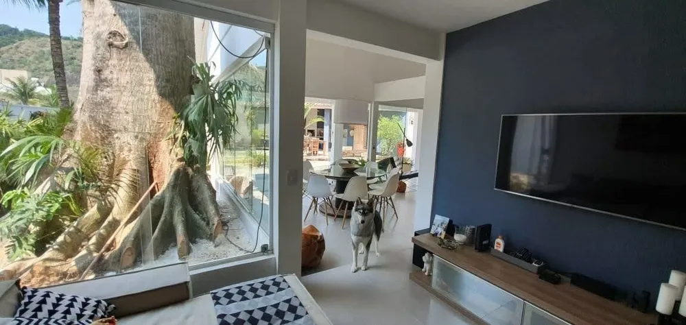 Casa, 4 quartos, 396 m² - Foto 11