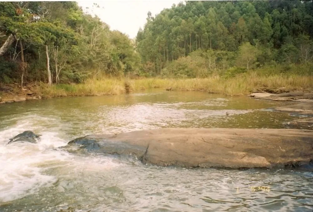 Fazenda - Foto 3