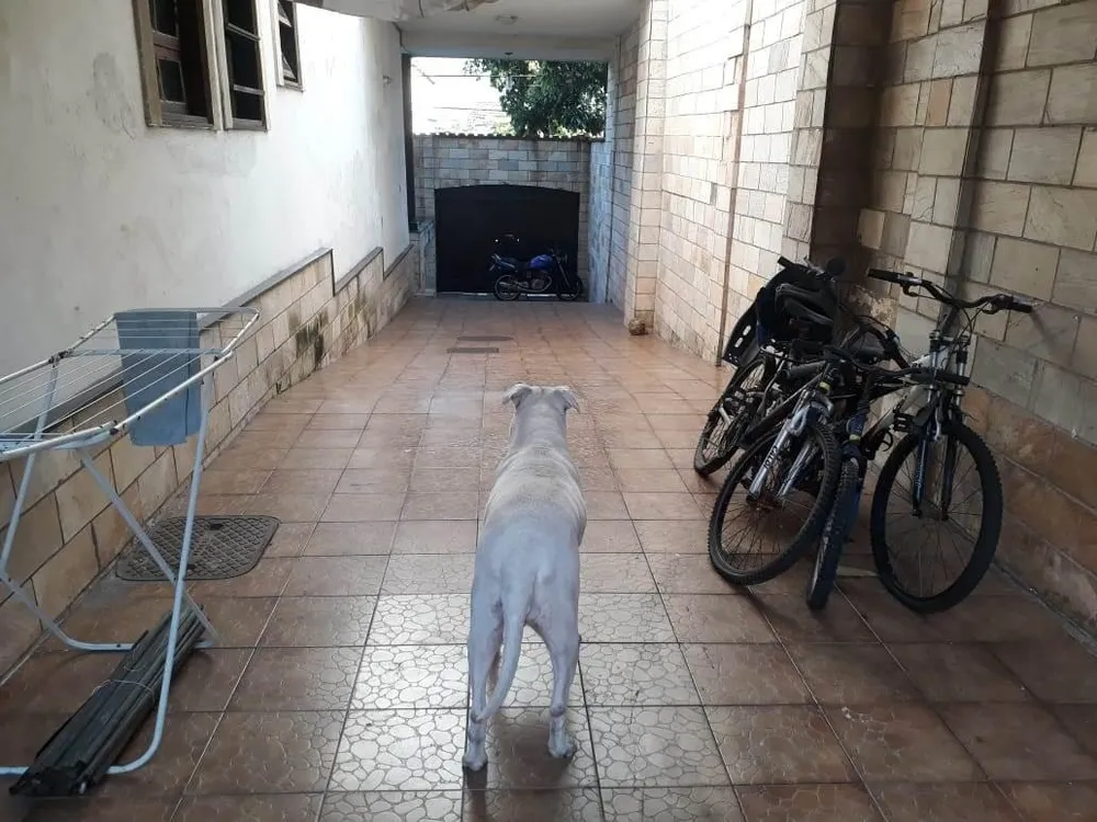 Casa, 5 quartos, 450 m² - Foto 46