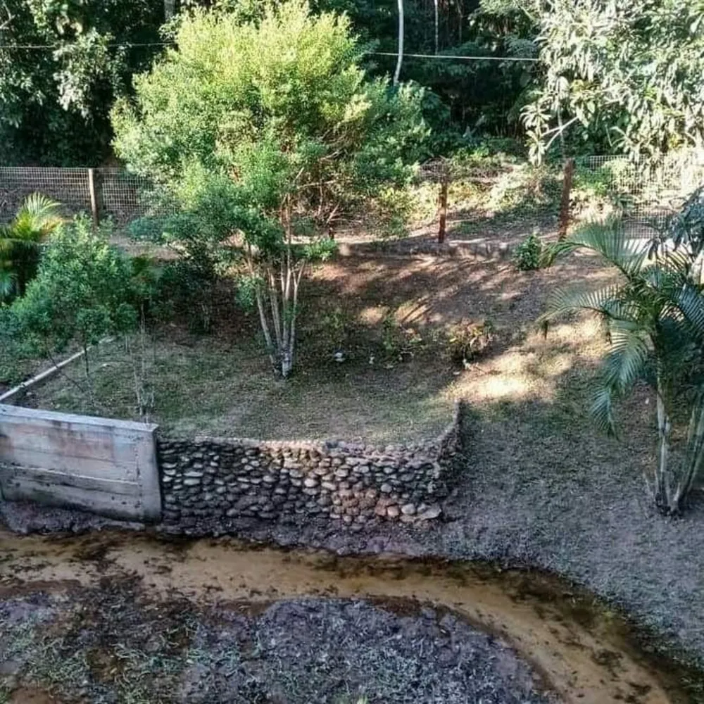 Chácara, 3 quartos - Foto 4