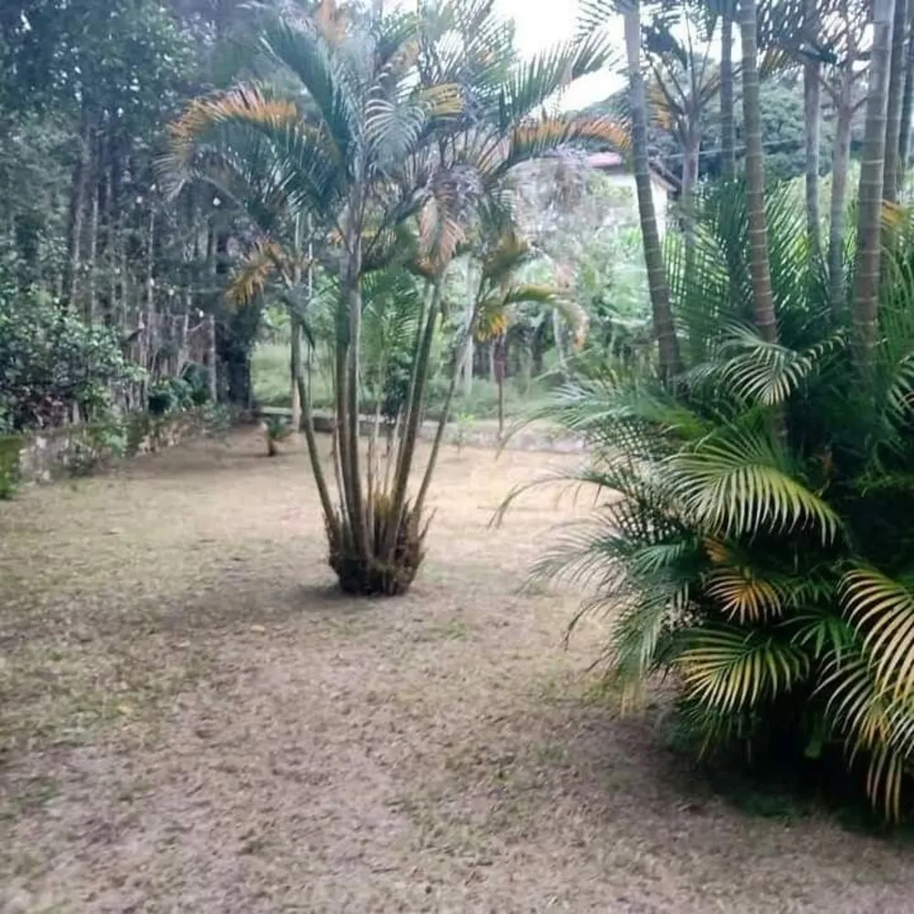 Chácara, 3 quartos - Foto 6