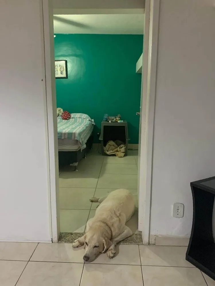 Apartamento, 2 quartos, 97 m² - Foto 21
