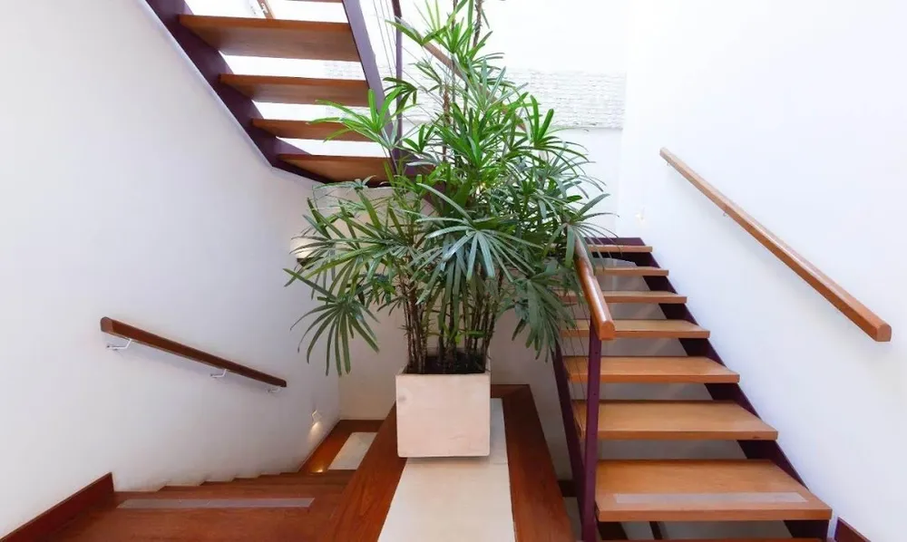 Casa, 4 quartos, 439 m² - Foto 7