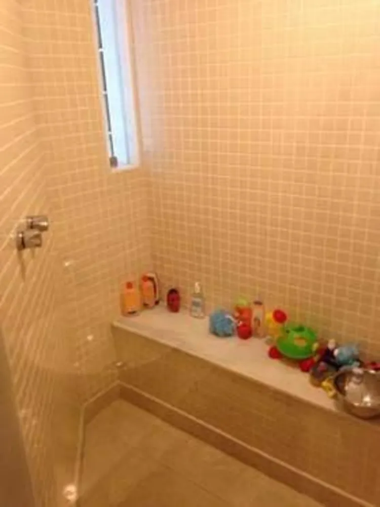 Casa, 4 quartos, 250 m² - Foto 13