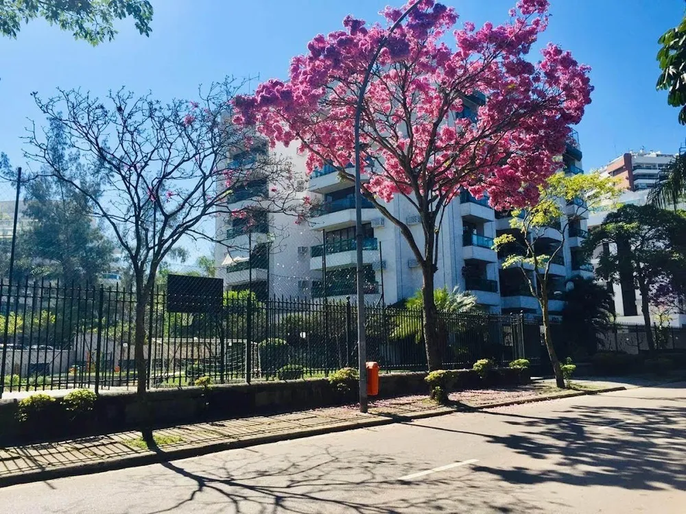Cobertura, 4 quartos, 300 m² - Foto 2