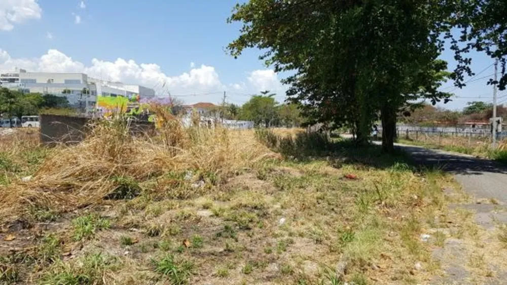 Terreno, 1290 m² - Foto 1