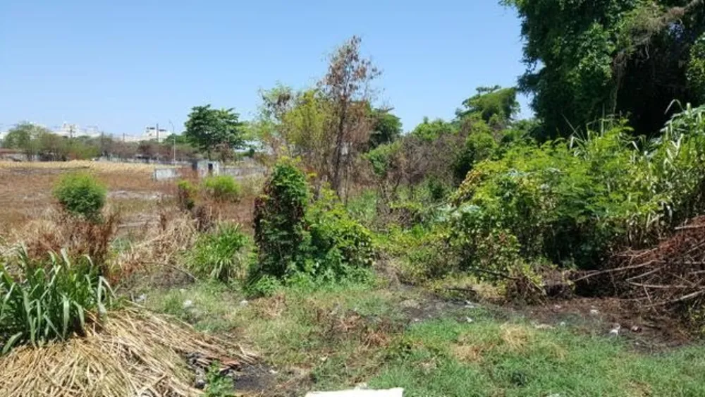 Terreno, 1290 m² - Foto 14