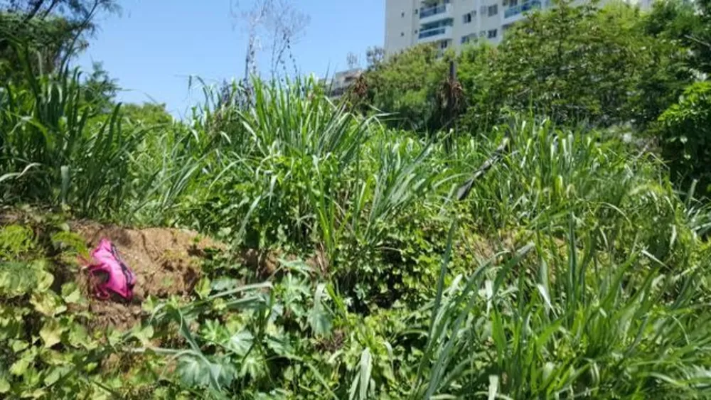 Terreno, 1290 m² - Foto 11