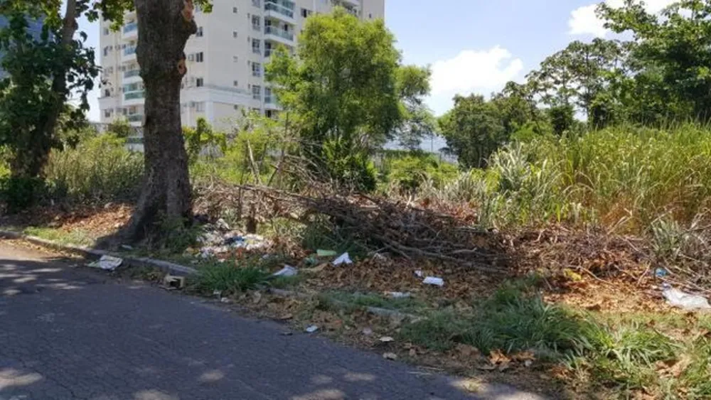 Terreno, 1290 m² - Foto 4