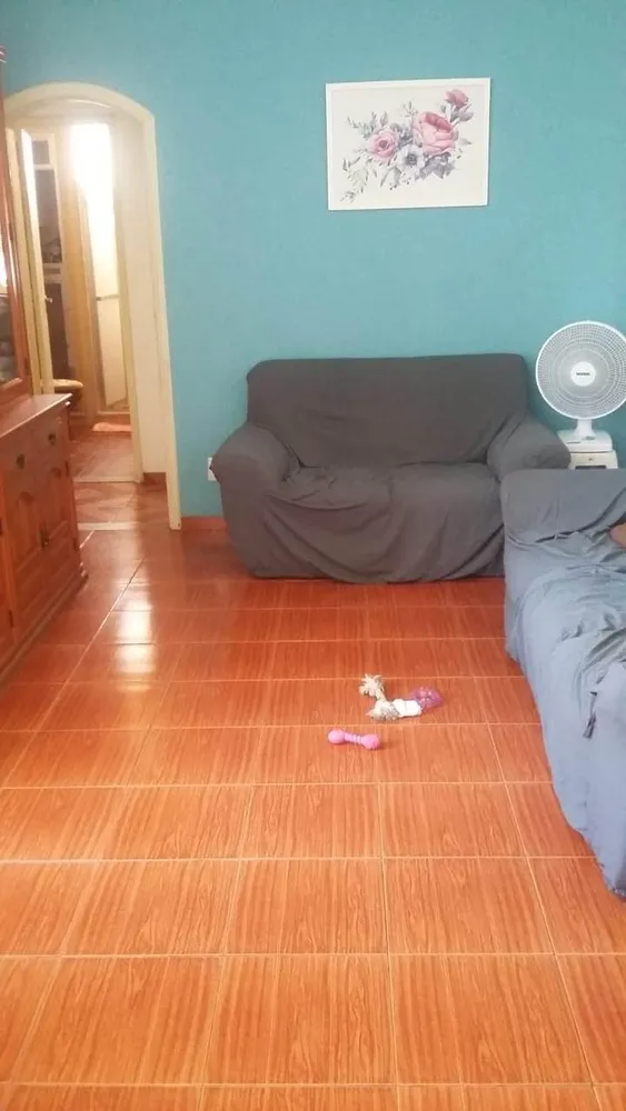Apartamento, 3 quartos, 80 m² - Foto 3