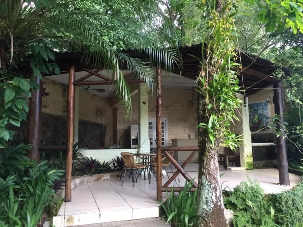 Casa, 4 quartos, 990 m² - Foto 29