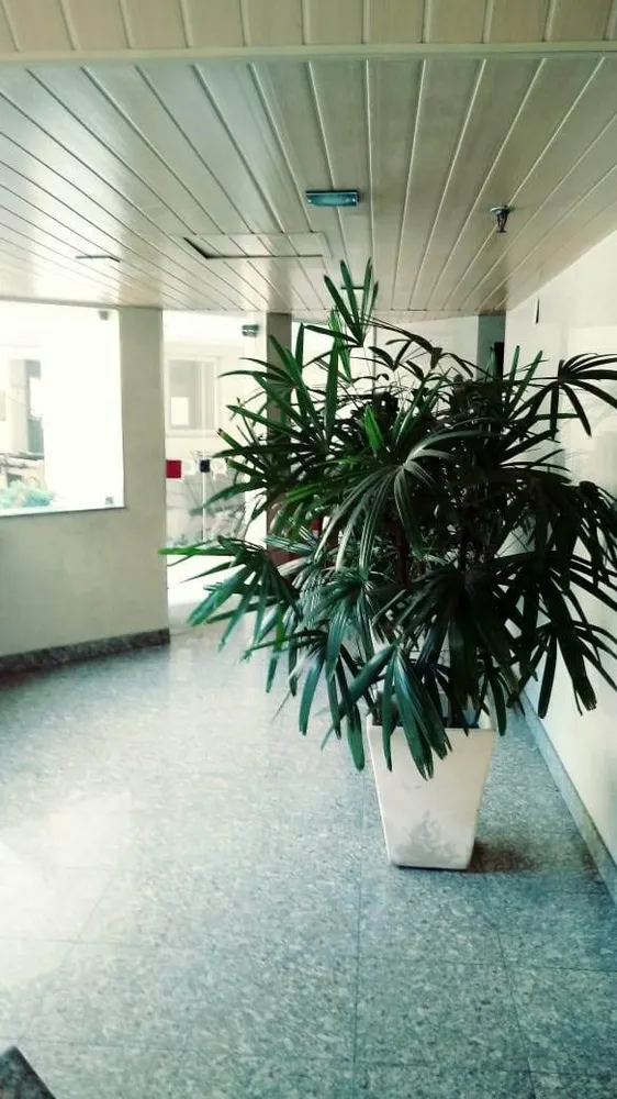Apartamento, 2 quartos, 50 m² - Foto 34
