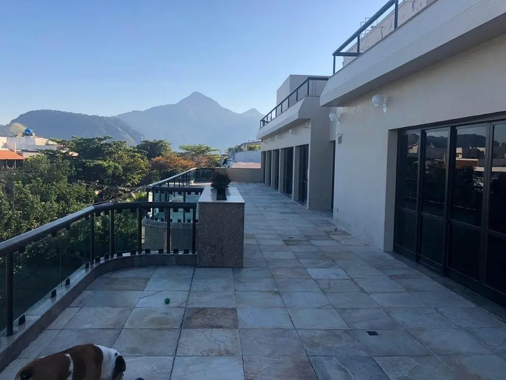 Cobertura, 4 quartos, 1000 m² - Foto 3
