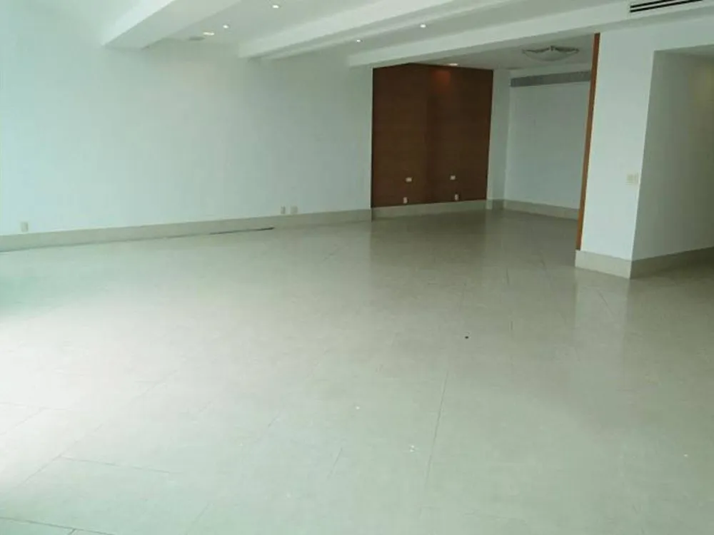 Cobertura, 4 quartos, 380 m² - Foto 4